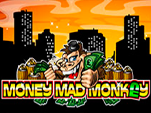 Онлайн аппарат Money Mad Monkey